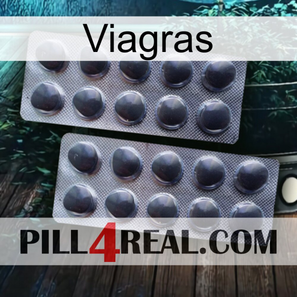 Viagras 31